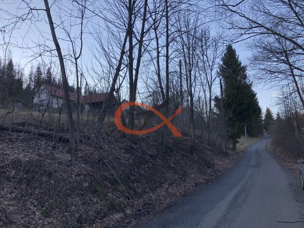 Prodej trvalého travního porostu, Valašská Bystřice, 2064 m2