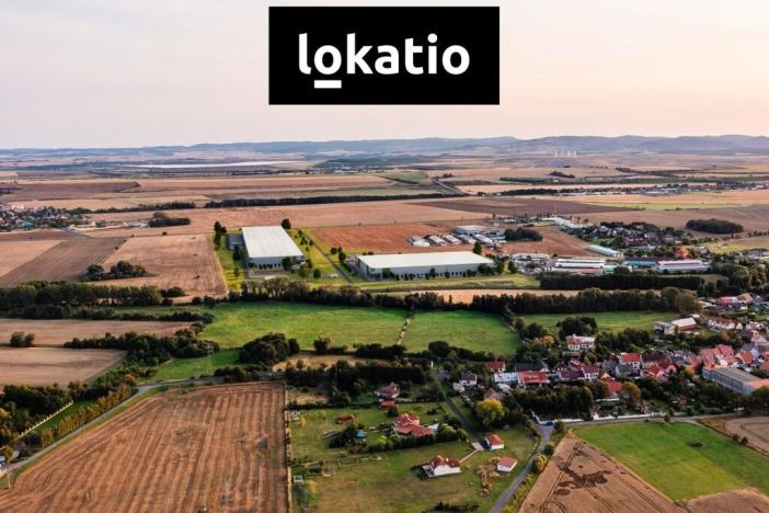 Pronájem skladu, Údlice, 12500 m2