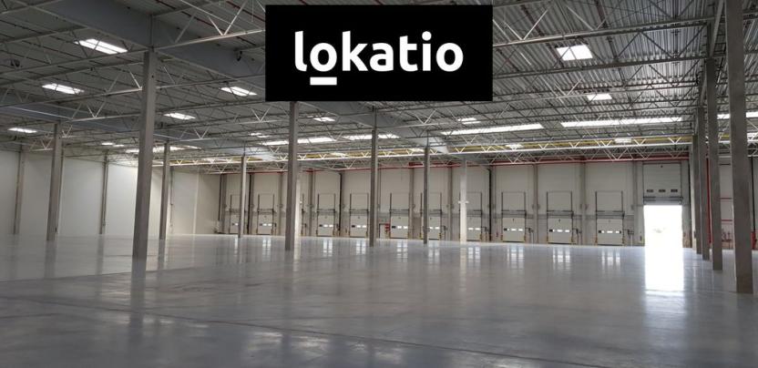 Pronájem skladu, Údlice, 25500 m2