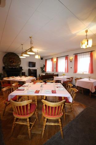 Prodej ubytování, Loučná pod Klínovcem - Háj, 514 m2