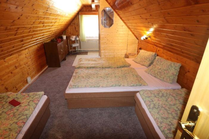 Prodej ubytování, Loučná pod Klínovcem - Háj, 514 m2