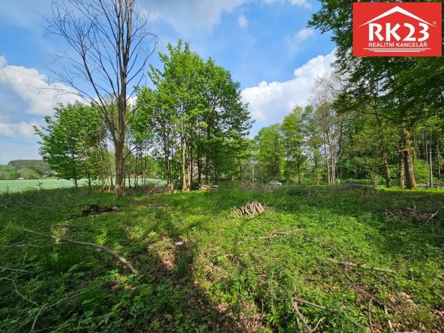 Prodej pozemku pro bydlení, Tři Sekery - Chodovská Huť, 2874 m2