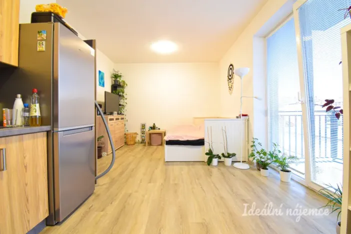 Pronájem bytu 1+kk, Brno, Svitavská, 29 m2