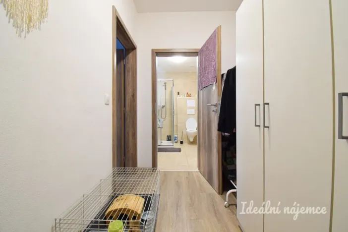 Pronájem bytu 1+kk, Brno, Svitavská, 29 m2