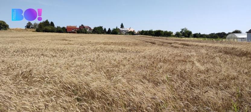 Prodej pozemku pro bydlení, Beňov, 5182 m2