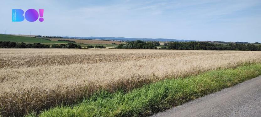 Prodej pozemku pro bydlení, Beňov, 5182 m2