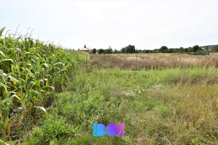 Prodej pozemku pro bydlení, Beňov, 5182 m2