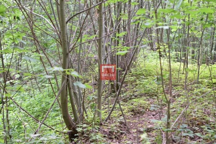 Prodej pozemku pro komerční výstavbu, Horní Heřmanice, 4584 m2