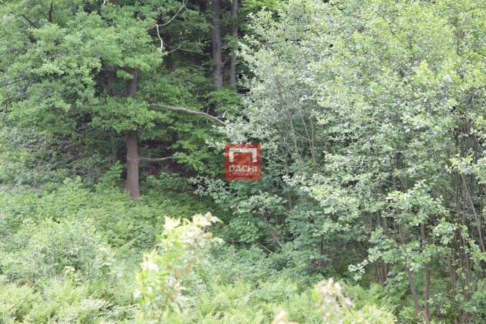 Prodej pozemku pro komerční výstavbu, Horní Heřmanice, 4584 m2