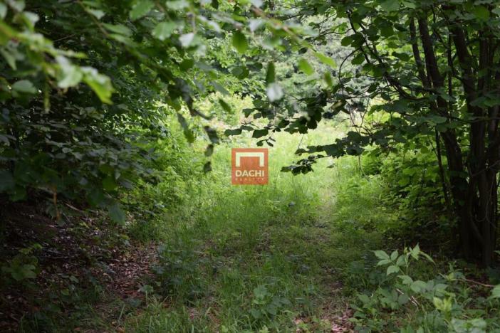 Prodej pozemku pro komerční výstavbu, Horní Heřmanice, 4584 m2