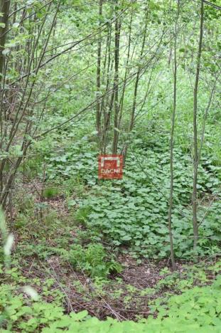 Prodej pozemku pro komerční výstavbu, Horní Heřmanice, 4584 m2