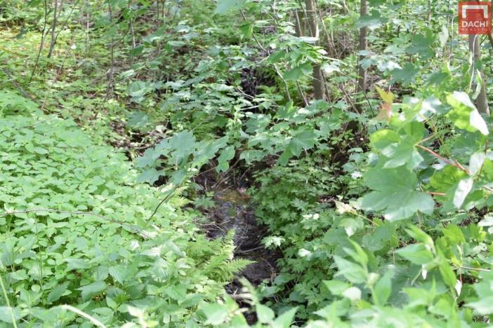 Prodej pozemku pro komerční výstavbu, Horní Heřmanice, 4584 m2