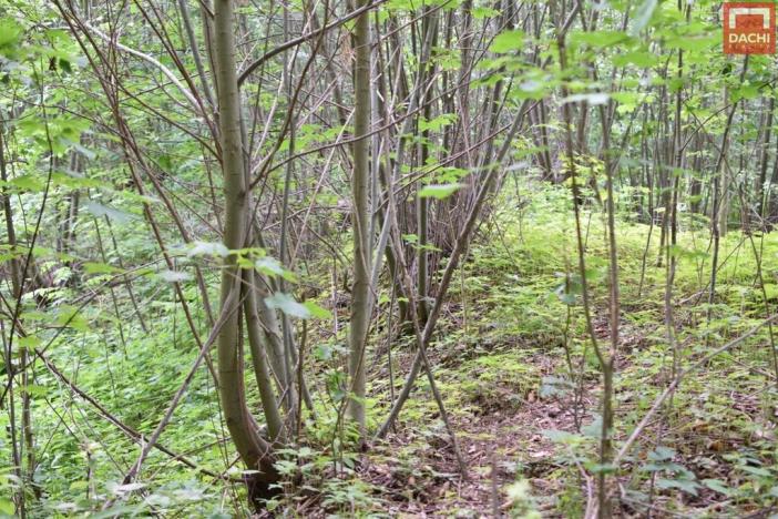 Prodej pozemku pro komerční výstavbu, Horní Heřmanice, 4584 m2