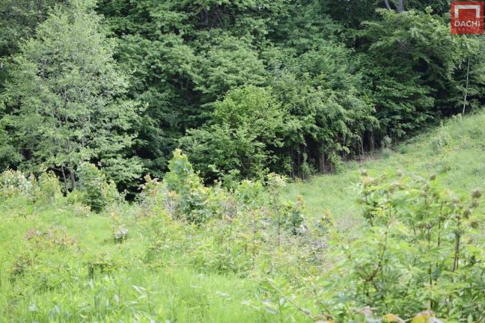 Prodej pozemku pro komerční výstavbu, Horní Heřmanice, 4584 m2