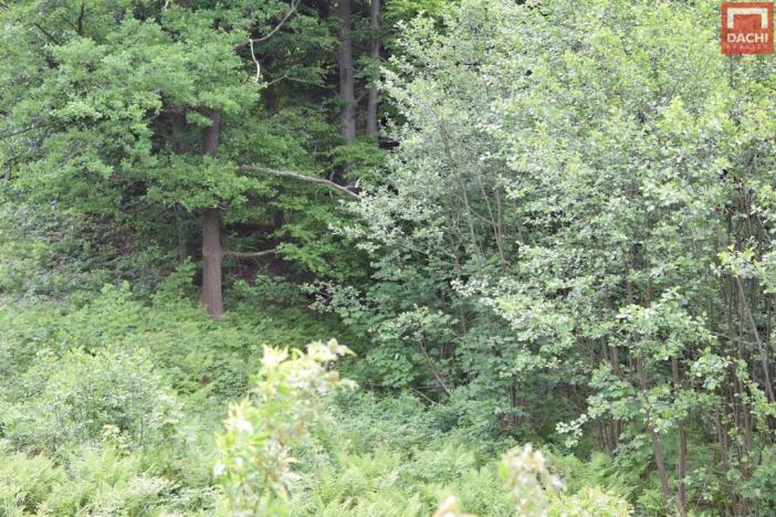 Prodej pozemku pro komerční výstavbu, Horní Heřmanice, 4584 m2