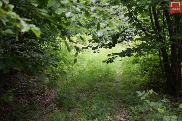 Prodej pozemku pro komerční výstavbu, Horní Heřmanice, 4584 m2