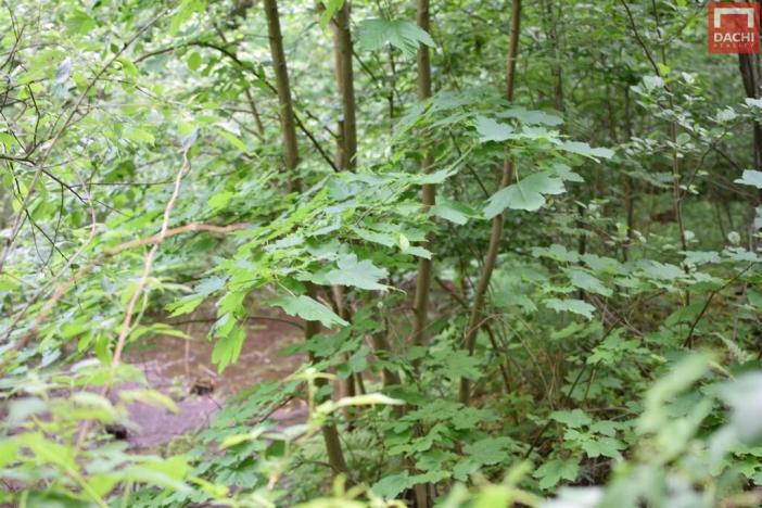 Prodej pozemku pro komerční výstavbu, Horní Heřmanice, 4584 m2