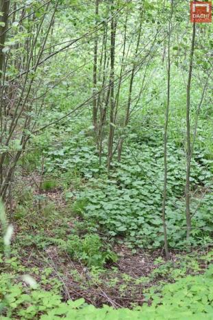 Prodej pozemku pro komerční výstavbu, Horní Heřmanice, 4584 m2