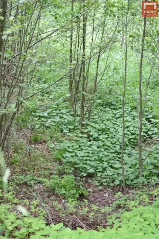 Prodej pozemku pro komerční výstavbu, Horní Heřmanice, 4584 m2