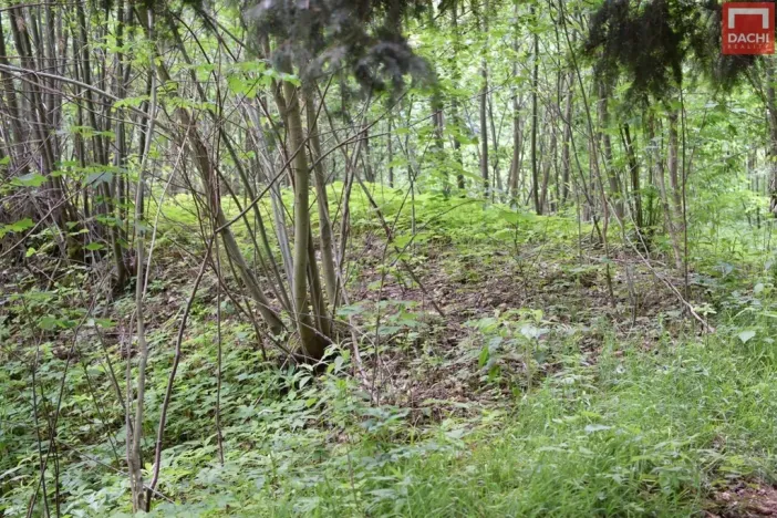 Prodej pozemku pro komerční výstavbu, Horní Heřmanice, 4584 m2