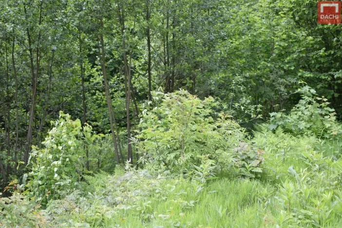 Prodej pozemku pro komerční výstavbu, Horní Heřmanice, 4584 m2