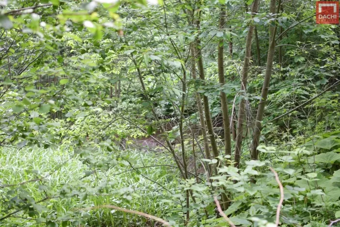 Prodej pozemku pro komerční výstavbu, Horní Heřmanice, 4584 m2
