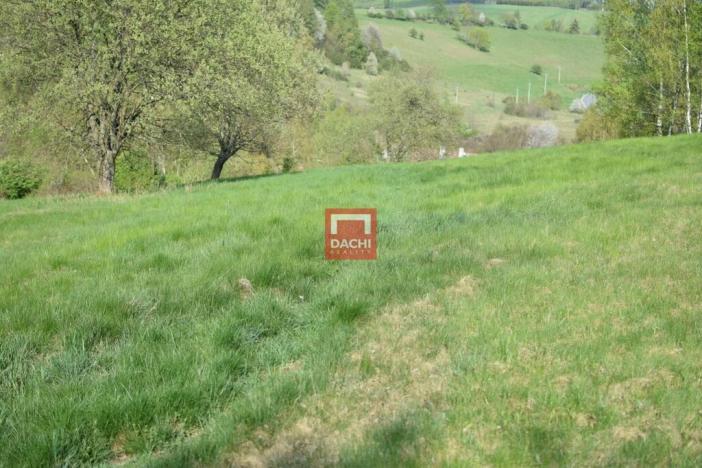 Prodej pozemku pro bydlení, Domašov nad Bystřicí, 11569 m2