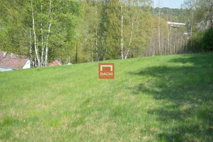 Prodej pozemku pro bydlení, Domašov nad Bystřicí, 11569 m2