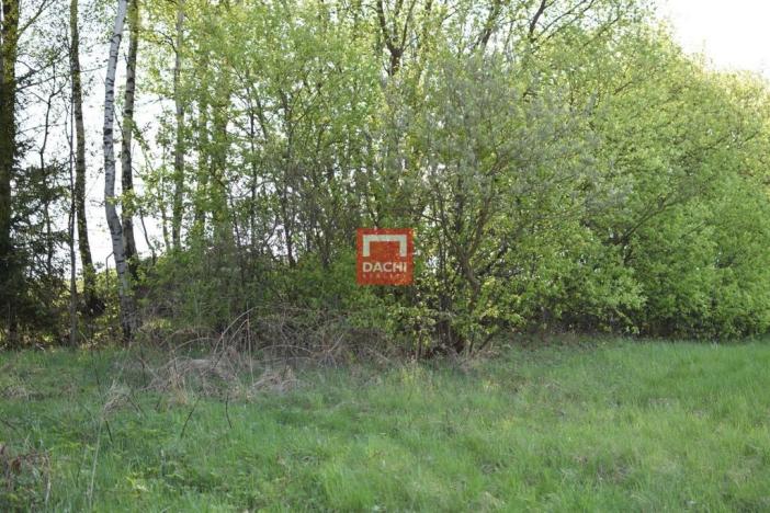 Prodej pozemku pro bydlení, Domašov nad Bystřicí, 11569 m2