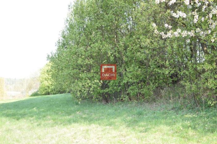 Prodej pozemku pro bydlení, Domašov nad Bystřicí, 11569 m2