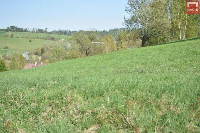 Prodej pozemku pro bydlení, Domašov nad Bystřicí, 11569 m2