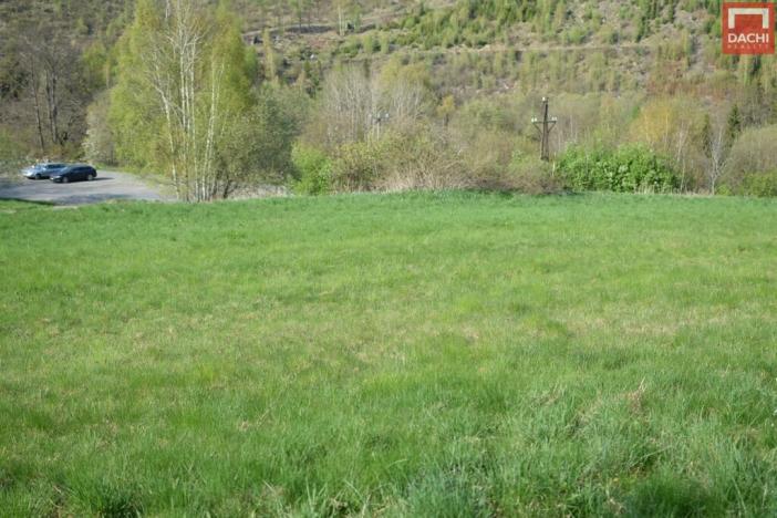 Prodej pozemku pro bydlení, Domašov nad Bystřicí, 11569 m2