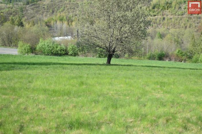 Prodej pozemku pro bydlení, Domašov nad Bystřicí, 11569 m2