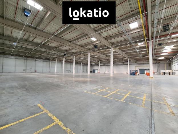 Pronájem skladu, Kadaň, 4650 m2
