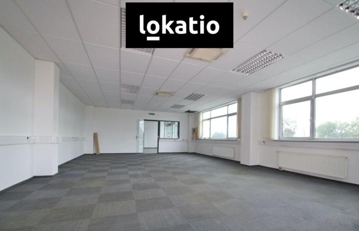 Pronájem skladu, Kadaň, 4650 m2