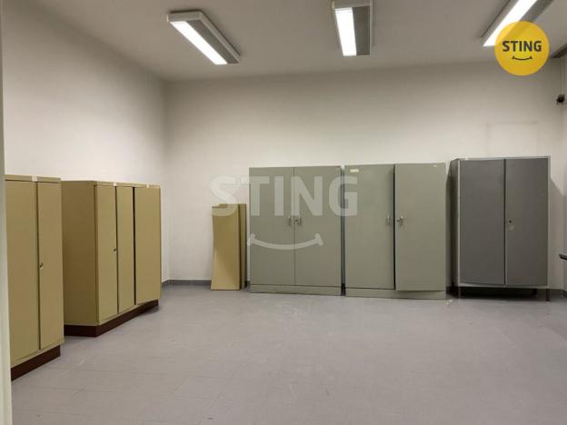 Pronájem skladu, Kopřivnice, Záhumenní, 42 m2