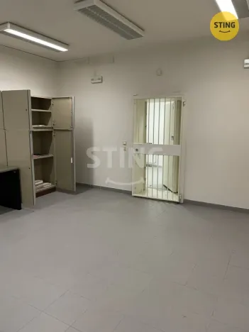 Pronájem skladu, Kopřivnice, 42 m2