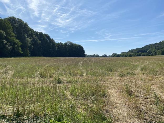 Prodej pozemku, Hrubá Skála - Borek, Hrubá Skála, 8207 m2