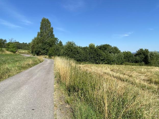 Prodej pozemku, Hrubá Skála - Borek, Hrubá Skála, 8207 m2