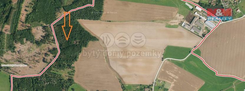 Prodej lesa, Stehlovice, 8547 m2