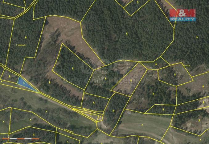 Prodej lesa, Přechovice, 26262 m2