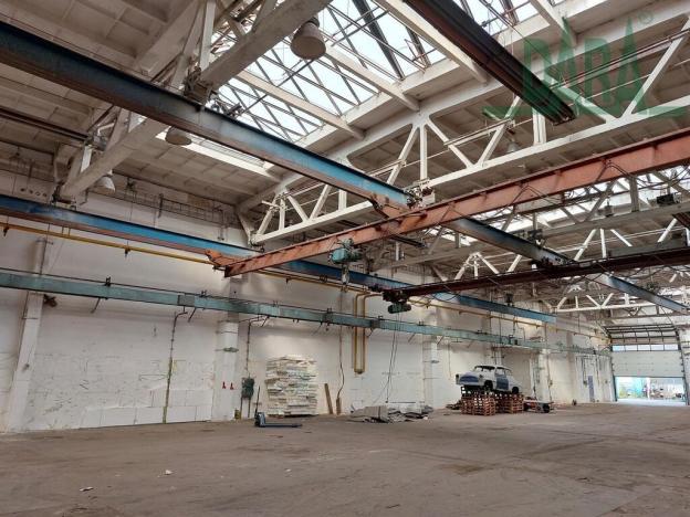 Pronájem výrobních prostor, Český Brod, 4600 m2