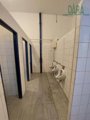 Pronájem výrobních prostor, Český Brod, 4600 m2