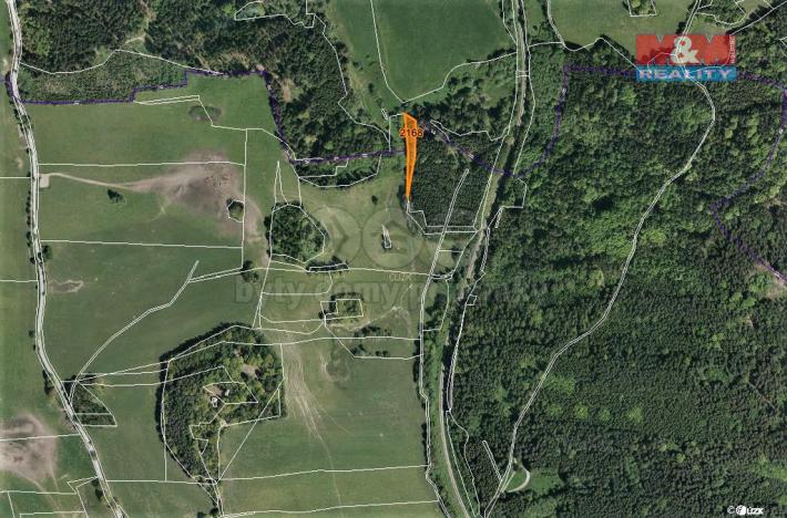 Prodej trvalého travního porostu, Horní Dvořiště, 1471 m2