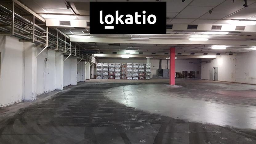 Pronájem skladu, Most, 1200 m2