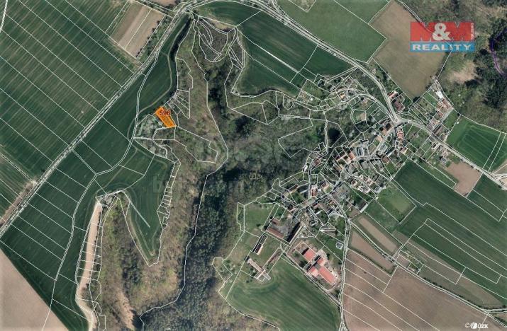 Prodej lesa, Mšeno, 1050 m2