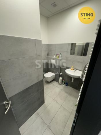 Pronájem výrobních prostor, Jakartovice - Hořejší Kunčice, 174 m2