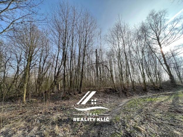 Prodej zemědělské půdy, Markvartovice, 15421 m2