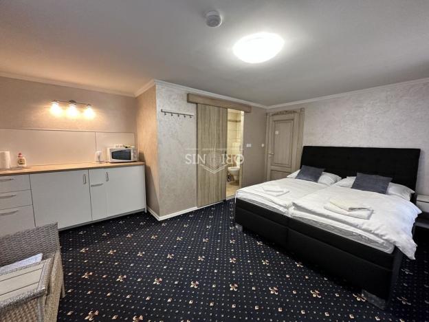 Prodej ubytování, Karlovy Vary, Zámecký vrch, 400 m2