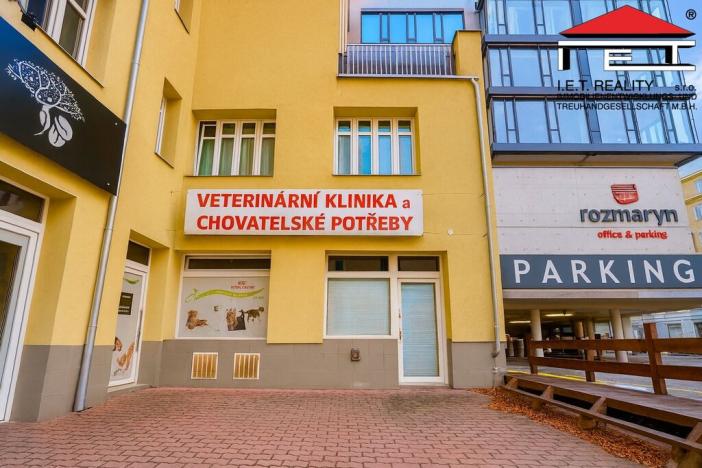 Pronájem ordinace, Brno, Kounicova, 46 m2